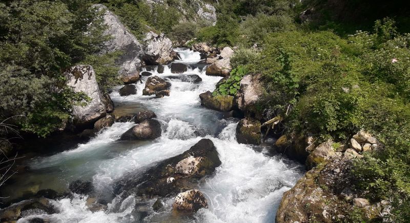 BISTRICA -ĐALOVICA KLISURA-PJEŠAČENJE