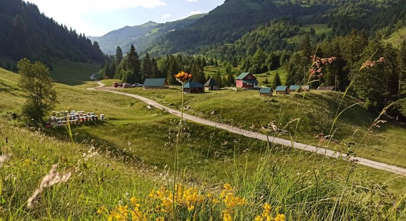 KATUN SUVODO-DOMAĆINSTVO ŠEKULARAC