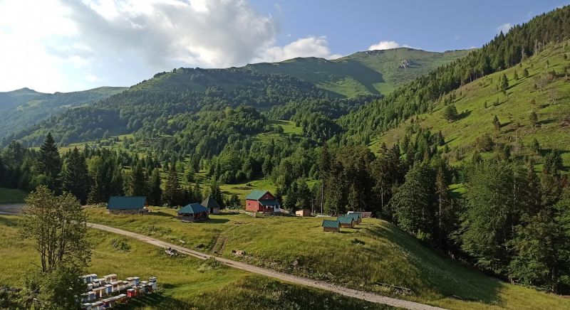 KATUN SUVODO-DOMAĆINSTVO ŠEKULARAC