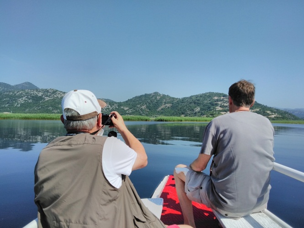 Skadarsko jezero, krstarenje, posmatranje ptica, kayak