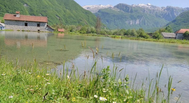 VIKEND PROKLETIJE-2 DANA