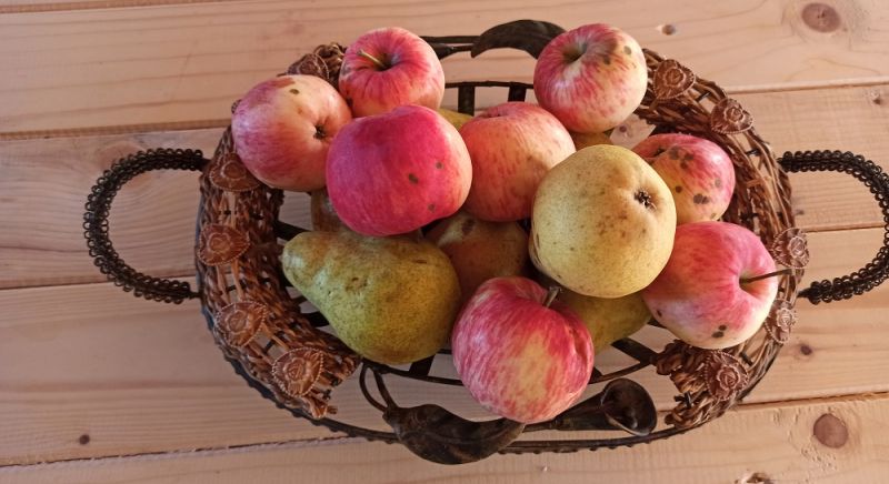 HAMDO'S TOWER- HOUSEHOLDER TUFO AJDARPASIC- PETNJICA