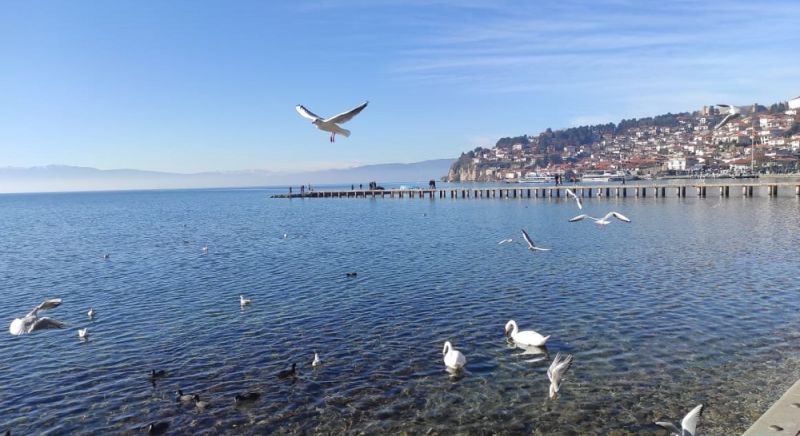 OHRID - 8. MART 2026., 150,00€ 